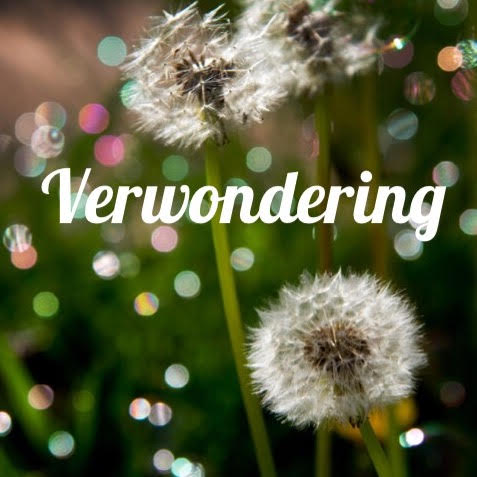 verwondering