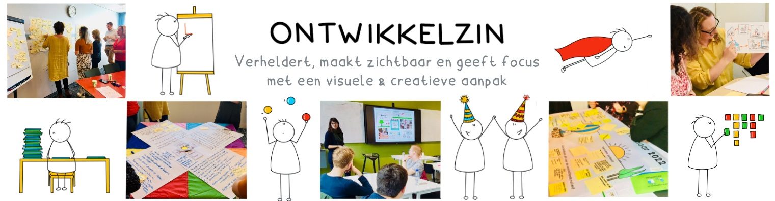 Ontwikkelzin